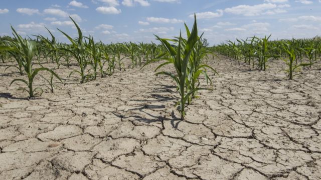 ۲۷ درصد مساحت استان، درگیر خشکسالی بسیار شدید